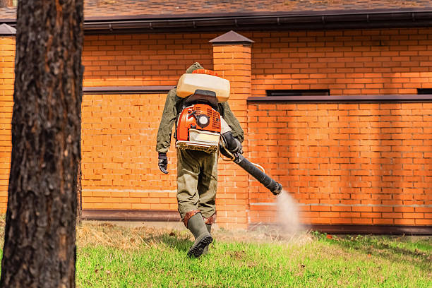 Trusted Cockroach Control service in Duncansville, PA - Nex Pest Control